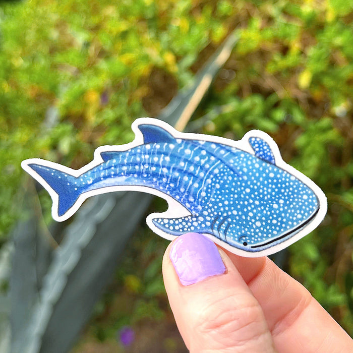 Whale Shark Sticker
