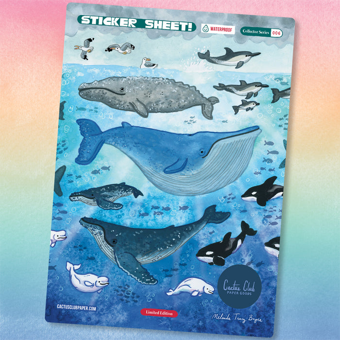 Whale Sticker Sheet