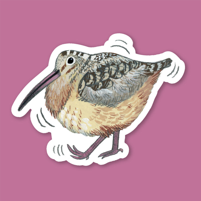 Woodcock Sticker