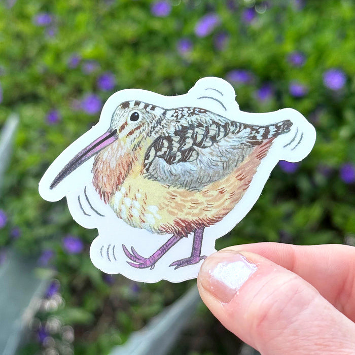 Woodcock Sticker