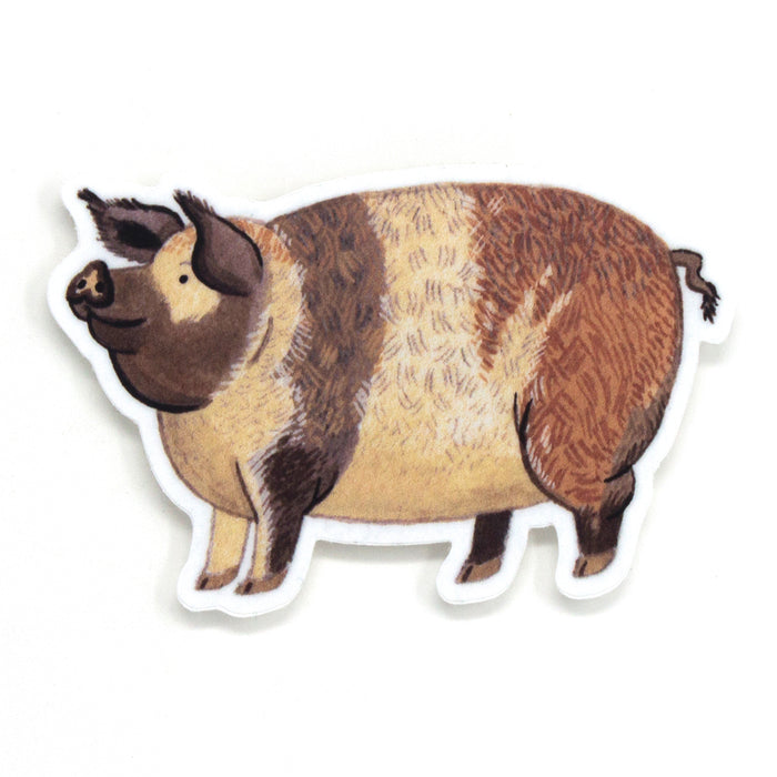 Pig Sticker