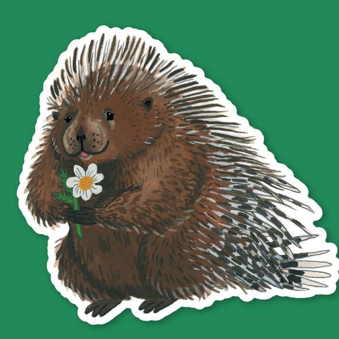 Porcupine Sticker