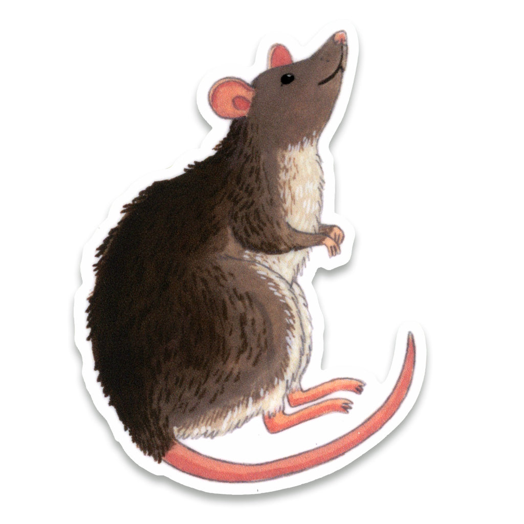 Rat Sticker by Party Mouse Studio