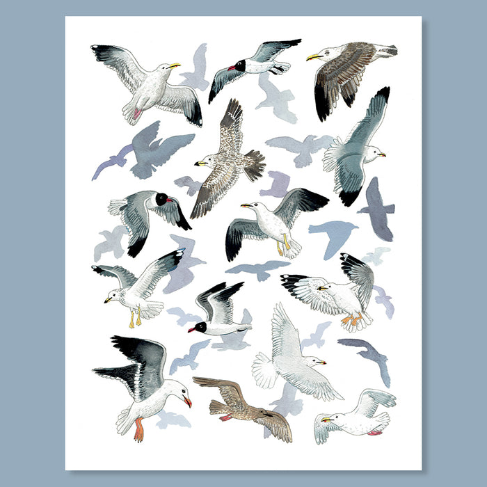 Seagull Sanctuary Print