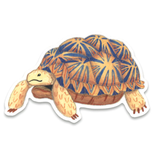Tortoise Animal Sticker