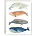 Greeting Card of Whale Gang