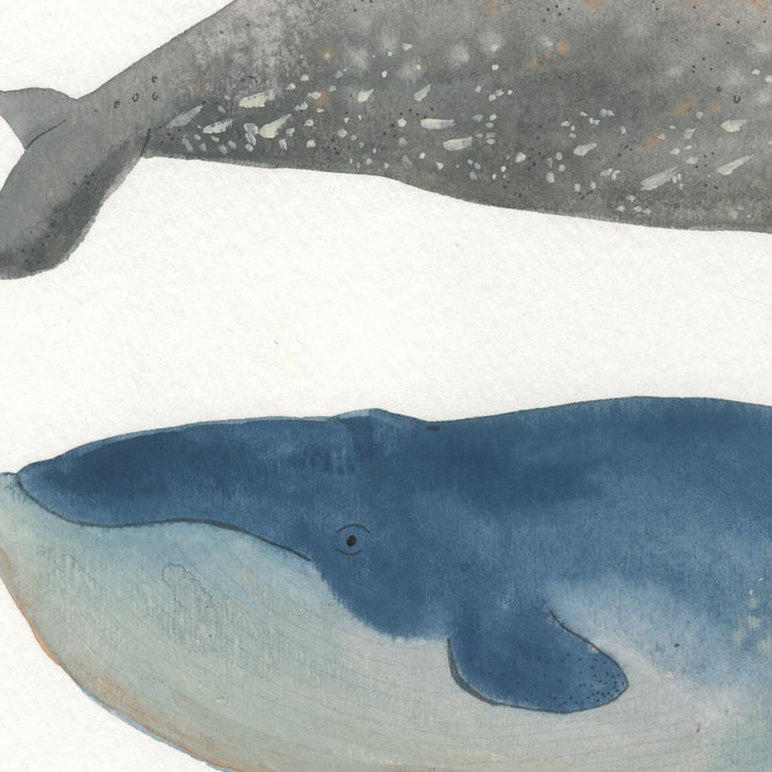 Whale Gang Print